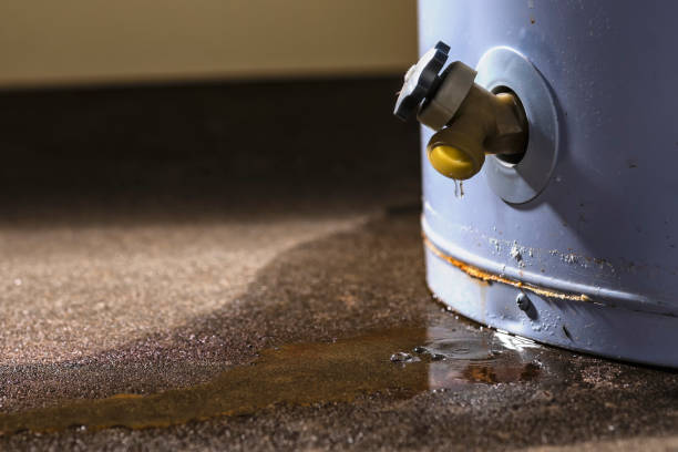 Best Sewage cleanup and water damage restoration  in Five Corners, WA