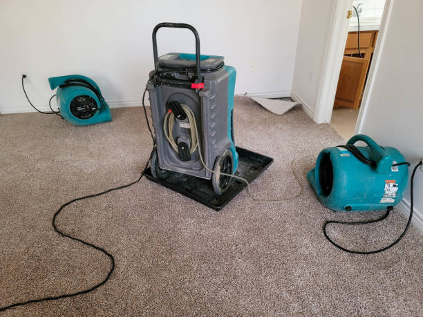 Best Carpet water damage restoration  in Five Corners, WA