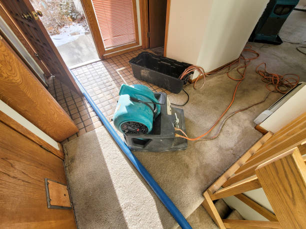 Best Local water damage restoration  in Five Corners, WA