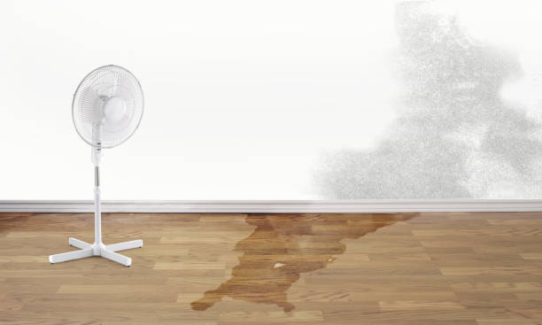 Best Flooded house restoration  in Five Corners, WA