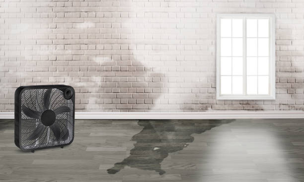 Water damage restoration insurance claims in Five Corners, WA