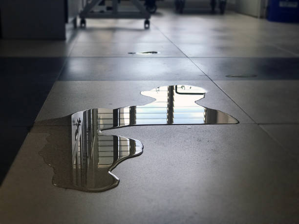 Sewage cleanup and water damage restoration in Five Corners, WA