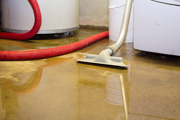 Best Sewage cleanup and water damage restoration  in Five Corners, WA