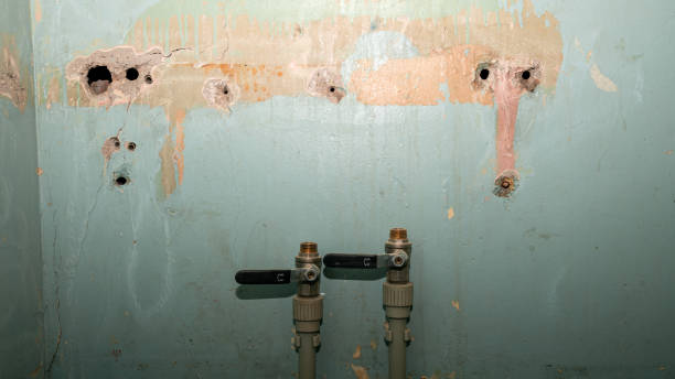 Best Basement water damage restoration  in Five Corners, WA