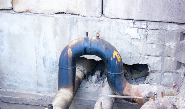 Best Ceiling water damage repair  in Five Corners, WA