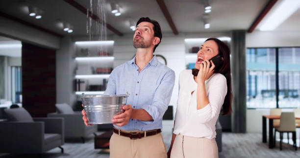 Best Carpet water damage restoration  in Five Corners, WA