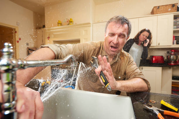 Best Water damage restoration mold remediation  in Five Corners, WA